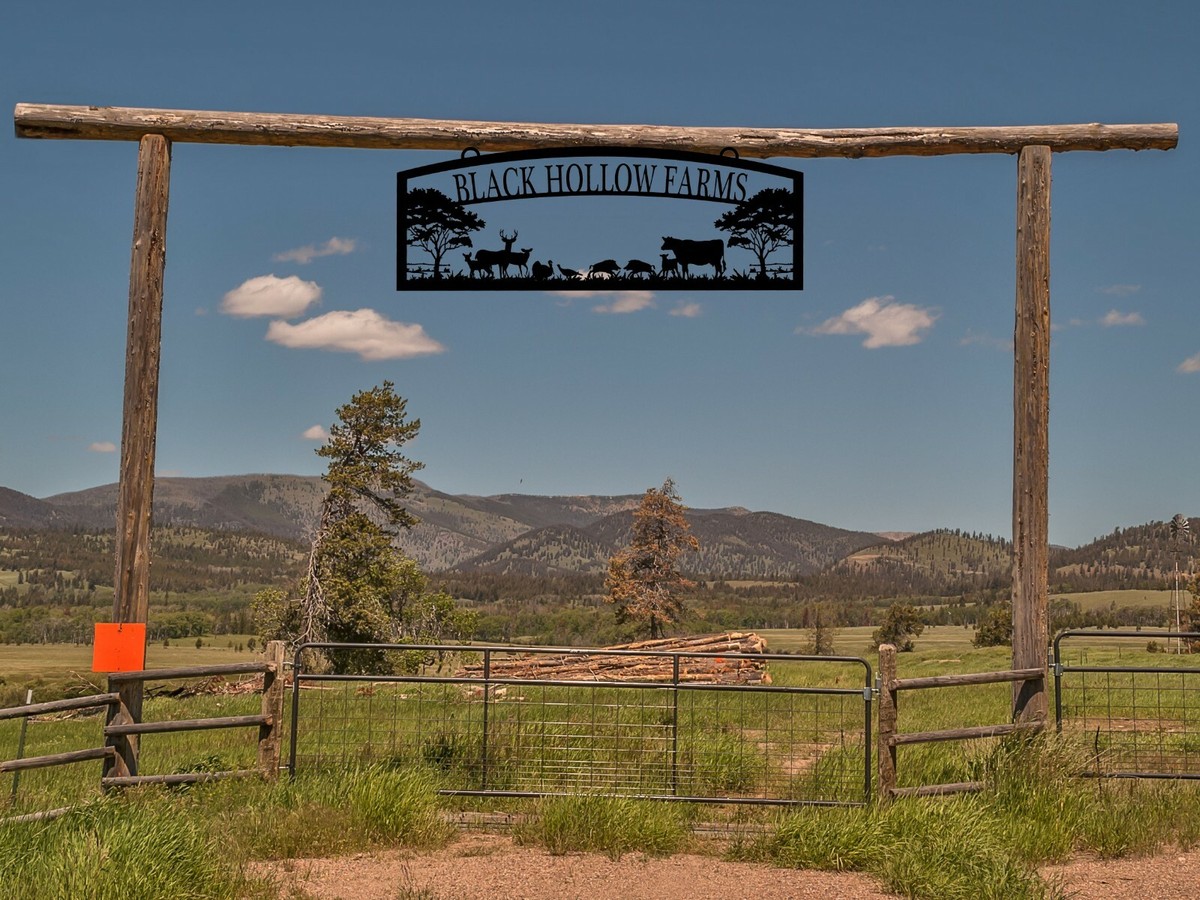 Ranch Entryway Entry Gate (1) | Colorado Ranch