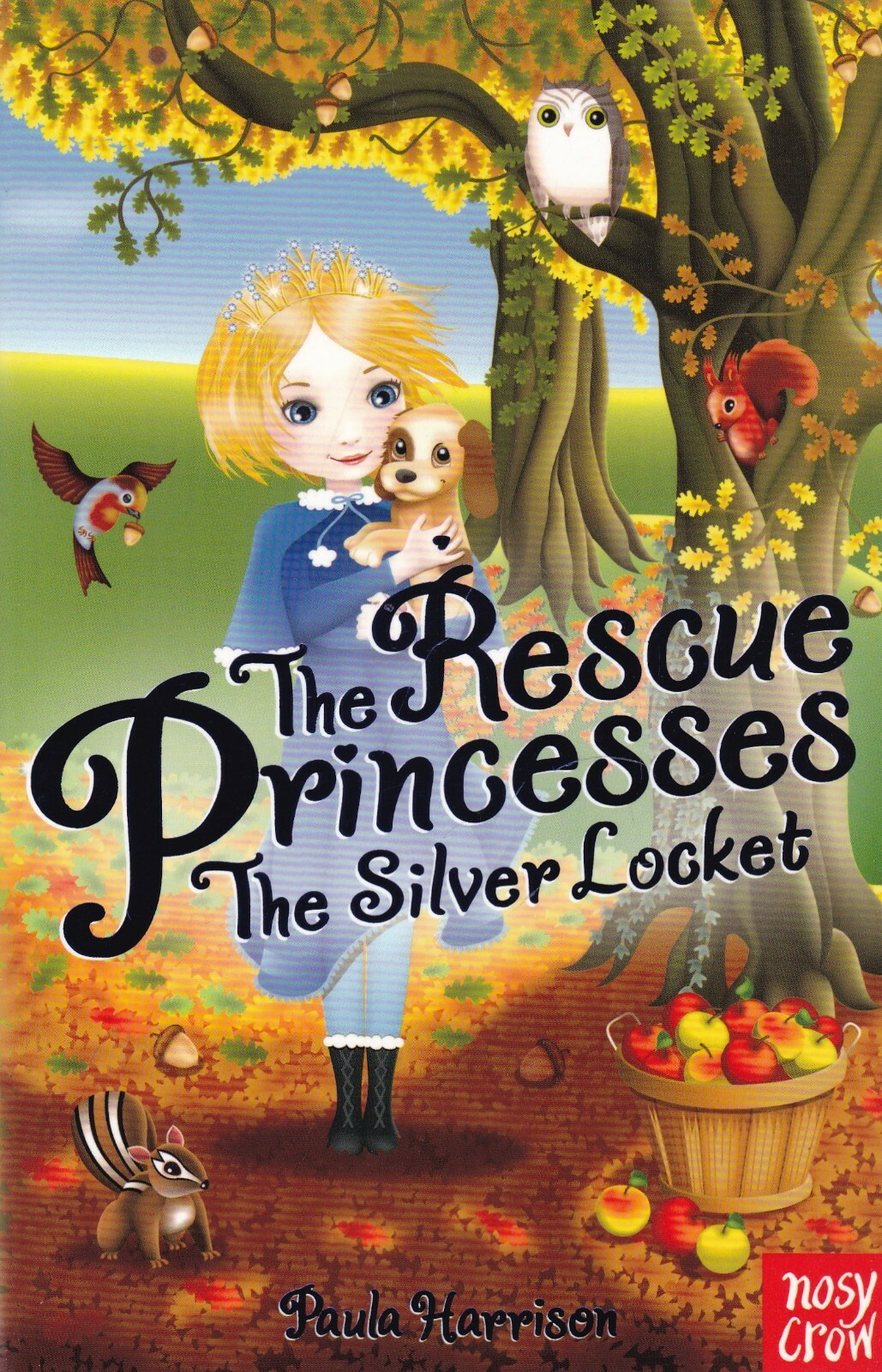 The Silver Locket Paula Harrison Book The Rescue Princesses Paperback New