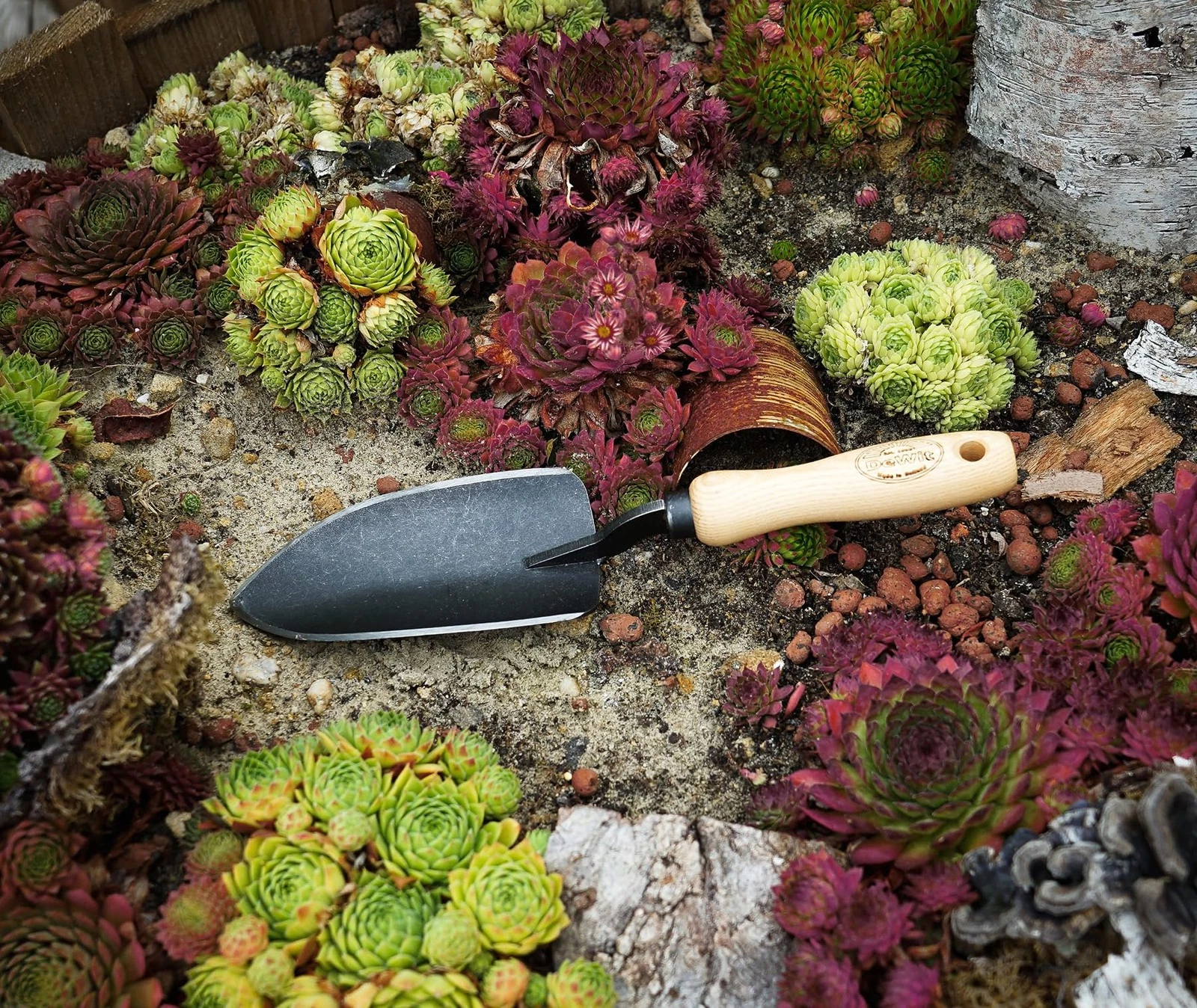 DeWit Tierra Garden Planting Trowel - Thumbnail 3