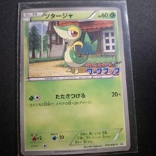 Snivy 075 BW P carta