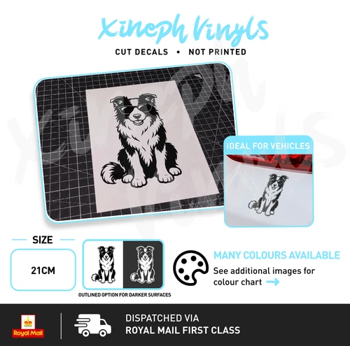 Border Collie vinyl sticker decal dog cute sunglasses fun car window optional