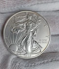 American  Eagle 2009 Liberty Dollar .999 Fine Silver Coin Bullion 1oz