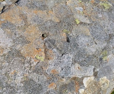 Foto 6x4 Ordnance Survey Niete Ciloerwynt Diese OS Niete finden Sie auf c2017