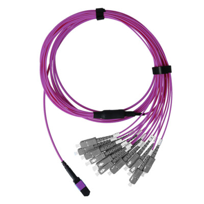 BlueOptics Fiber Optic MPO/8xSC Duplex Breakout Cable OM4