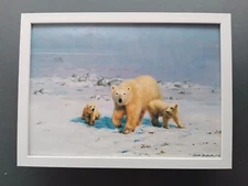 David Shepherd print 'Sun Came Out For Just A Few Minutes' Polar Bears FRAMED