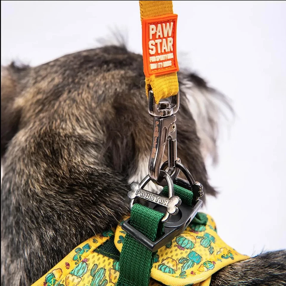 Reflective Cactus Dog Harness – Breathable, Easy-On, Adjustable, XS - Image 4 of 4