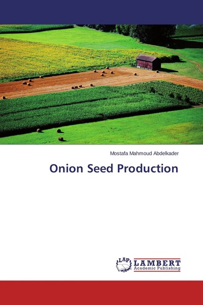 Mostafa Mahmoud Abdelkader | Onion Seed Production | Taschenbuch | Englisch-image