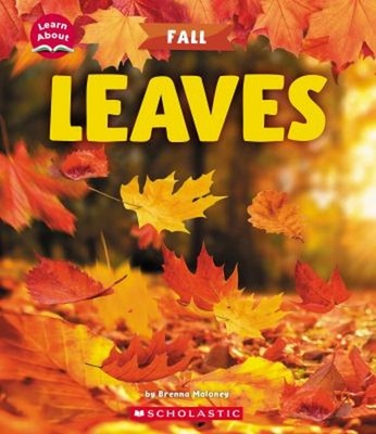 Leaves Learn About: Fall Hardcover Brenna Maloney