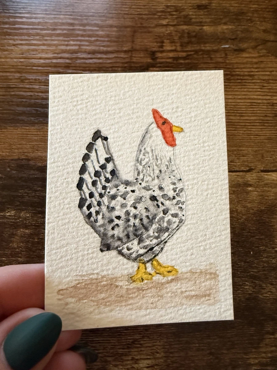 鸟类原创艺术水彩画画| eBay