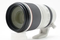 Canon RF 100-500mm f/4.5-7.1 L IS USM Super Telephoto Zoom Lens