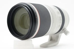 Canon RF 100-500mm f/4.5-7.1 L IS USM Super Telephoto Zoom Lens
