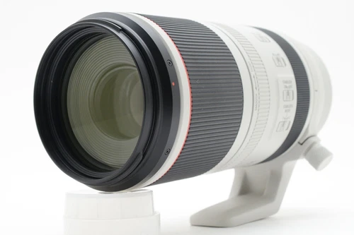 Canon RF 100-500mm f/4.5-7.1 L IS USM Super Telephoto Zoom Lens