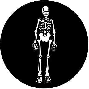 Rosco 77557 Steel Gobo, Skeleton - Size E