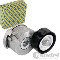 SNR Riemenspanner Spannrolle Keilrippenriemen FüR CitroËN C4 C5 C8 DS4 DS5
