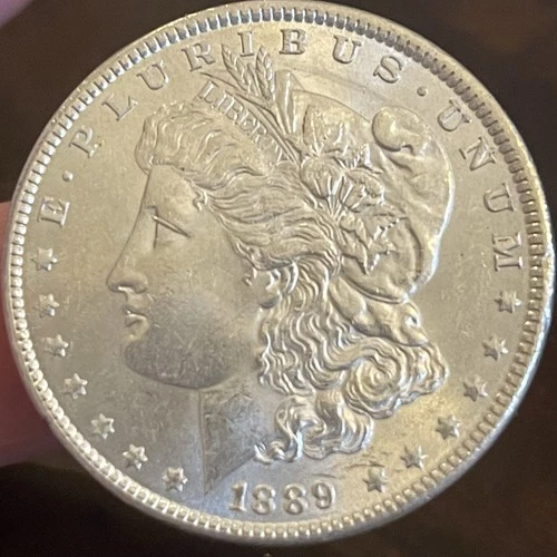 1889 P Morgan Silver Dollar ~  UNCIRCULATED ~ CLASHED DIES TOO! ~ 90% Silver $1