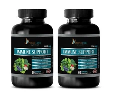 anti inflammation & bone diet IMMUNE SUPPORT PILL immune support natural 2BOTTLE