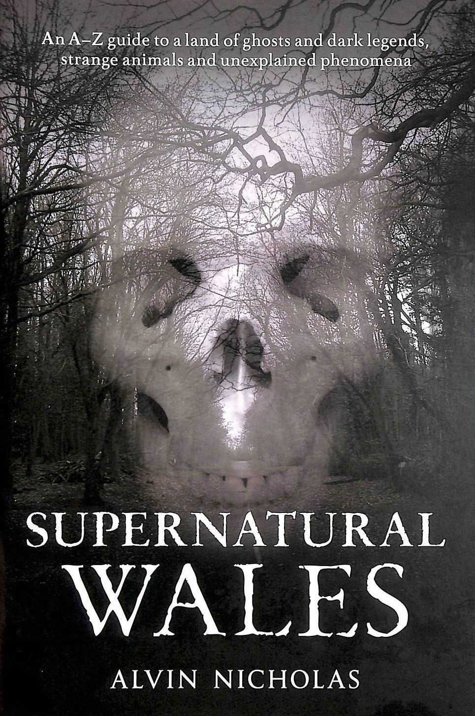 Supernatural Wales by Nicholas, Alvin