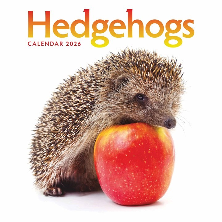 Otter House Hedgehogs Month to a View Calendar 2026