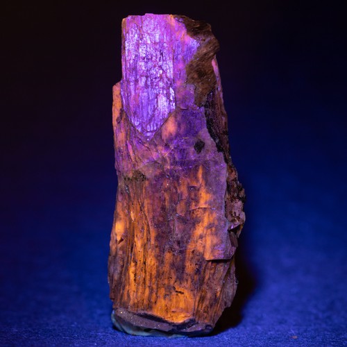 Delhayelit Kristall UV LW. Leuchtstoffmineral 49x21mm / 1,9x0,8 Zoll Kola Russland - Bild 2 von 4
