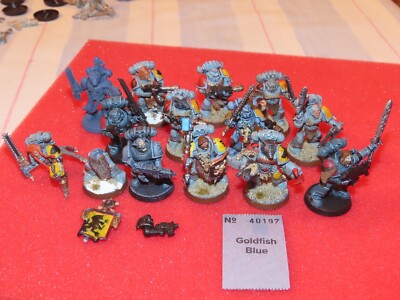 Games Workshop Warhammer 40k Space Wolves Wolf Pack teilweise bemalt Squad 13 Modelle