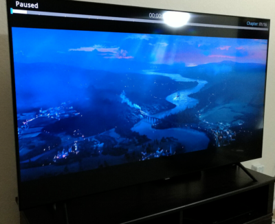 BN96-48259A Samsung Q70R QLED Internal TV Speaker QN55Q70RAFXZA