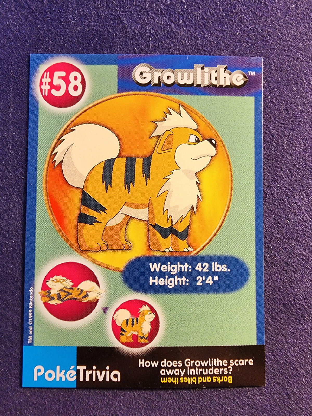 Pokemon - 1999 Burger King PokeTrivia Promo Card - Growlithe #58 LP