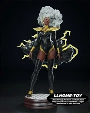 1/6 35cm Storm 3D Print Garage Kit Figure Model Unpainted Unassembled GK