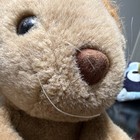 Playful Pals Mervyn's Lion Plush Stuffed Animal Beige Brown Washable 1986 — photo 4