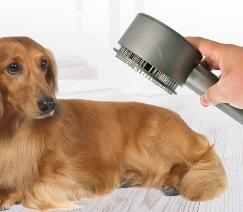 Spazzola con tubo flessibile per animale cani gatti per Dyson V7 V8 V10 V11  | eBay