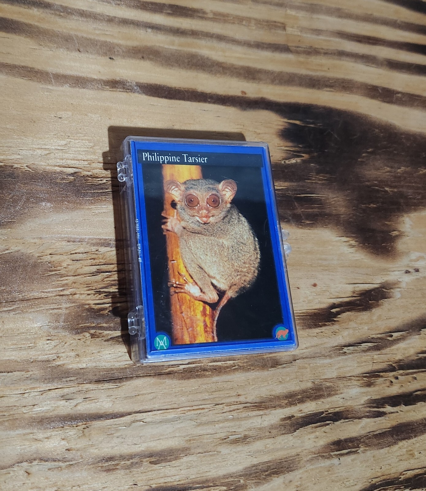 Picture 1 of 5