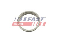 Fast FT84823 Dichtung Abgasrohr Auspuffdichtungen FüR Fiat Ducato Kasten 250