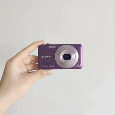 SONY Digital Camera Purple Cyber shot DSC-WX30 5.0x Optical zoom