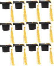 12Pcs Mini Graduation Caps with Gold Tassels Small Graduation Hats Grad Hat Cake