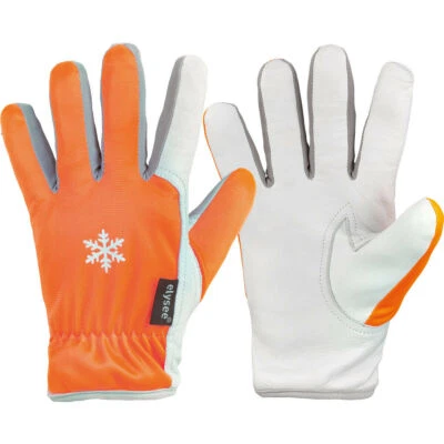 Arbeitshandschuhe Winter Handschuhe GROEDEN warm gefüttert Schafsleder Elysee - Bild 1 von 3