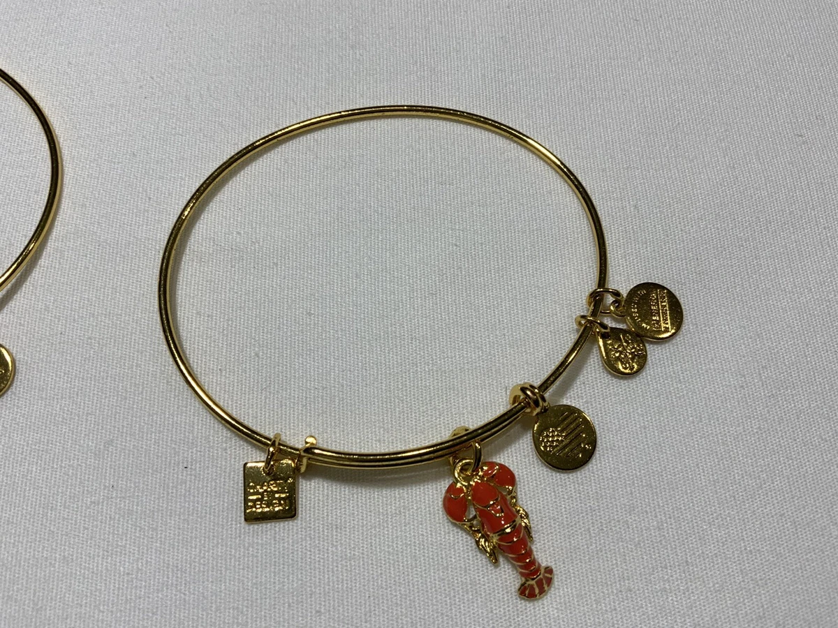 Lot of 2 Alex and Ani Bracelets Lobster Union Bond DIrection