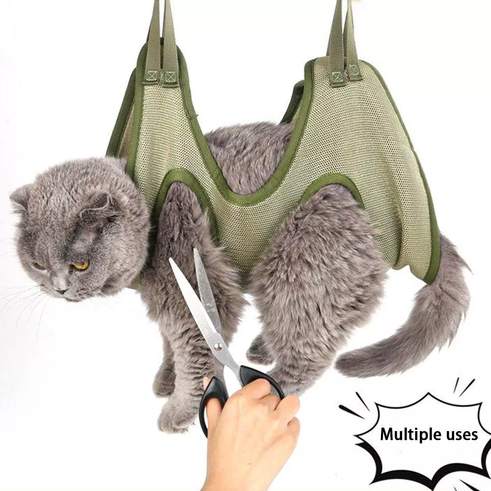Cat nail grooming 2025