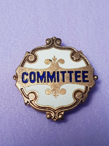 Vintage Club Pin Badge Gold look & White enamel 12 types Captain president Judge - Picture 7 of 22