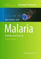 Robert MéNard | Malaria | Taschenbuch | Englisch (2016) | Methods And Protocols