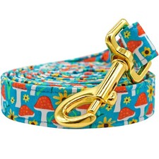 Strong Dog Leash - Durable Leash with Comfortable Soft Handle for Small Mediu...