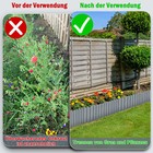 Bild 7 von 19