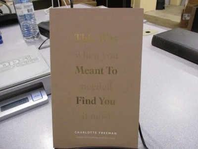 This Was Meant to Find You : When You Needed It Most Charlotte Freeman, Charlott
