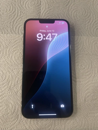 iPhone 13 Pro Max Graphite 256GB Unlocked