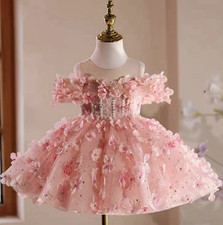 Pink Floral Fit  Flare Party Dress Girls Off-Shoulder 3D Flowers Glitter Hem