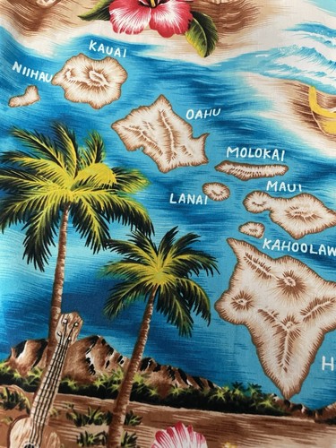 RJC Boy's Size 4 Aloha Shirt Hawaiian Palm Trees Ocean Flowers Print - Picture 7 of 13