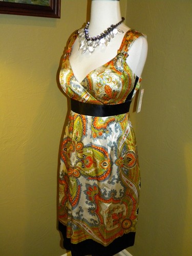 MUSE Boston Proper FABULOUS Silk Paisley Print Bra Dress Last One NWT 2 XS $169 - Picture 7 of 10