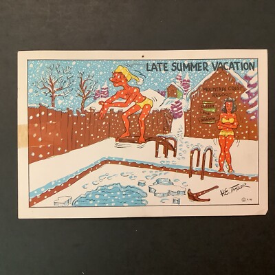 Vintage PostCard Late Summer Vacation Color Comic Card Ice Covered