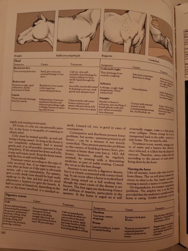 The Book Of The Horse - Picture 14 of 18