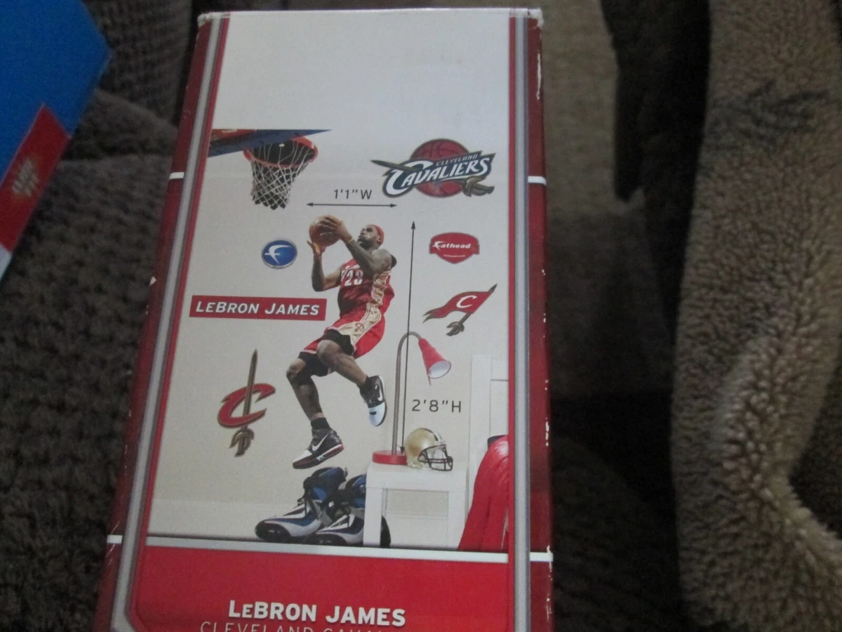Lebron james clearance fathead