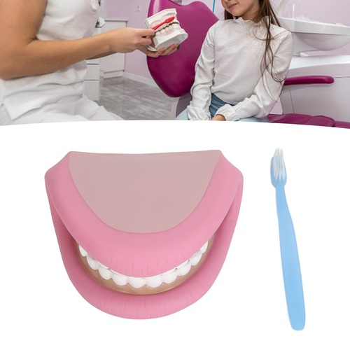 Kids Mouth Hand Puppet 28 Teeth Tongue Mouth Puppet With Toothbrush - Photo 16/22