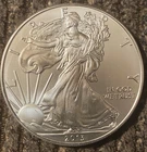 2013 American Silver Eagle Absolutely Flawless Gem 99.9% Pure Silver 1 Oz